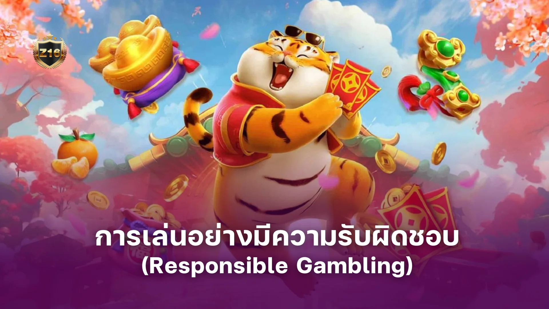 การเล่นอย่างมีความรับผิดชอบ