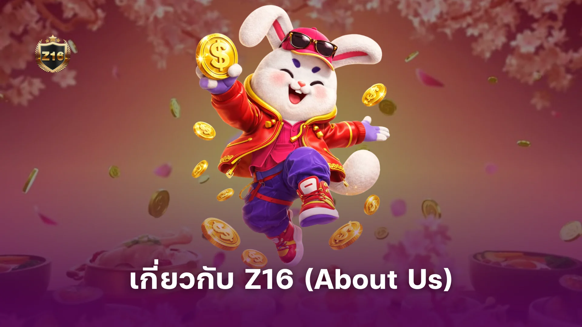 เกี่ยวกับ Z16